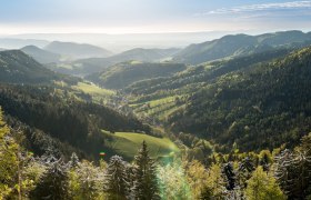 Blick ins Hornungstal bei Gutenmann, © Wiener Alpen in Niederösterreich