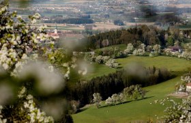 Fotopunkt Stift Seitenstetten, © schwarz-koenig.at