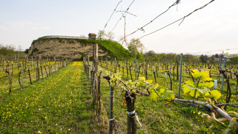 Schlossberg Mitterstockstall, © © pistipixel.at