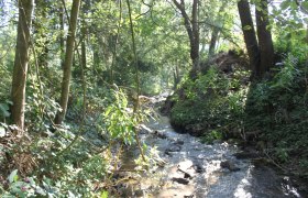 Wanderung zum Leisberg, Gföhl, © Stadtgemeinde Gföhl