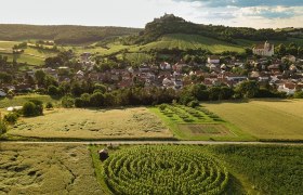 Weingartenlabyrinth Falkenstein, © Michael Reidinger