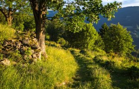 Weitwanderweg, © Wiener Alpen in Niederösterreich