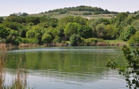 Winradlteich, © Marktgemeinde Guntramsdorf