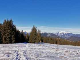 Winterwanderung auf den Arabichl, © Wiener Alpen in Niederösterreich