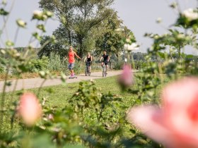 Radfahren entlang der Donau, © Donau Niederösterreich - Kamptal-Wagram-Tullner Donauraum