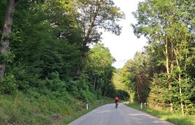 Schattige Abfahrt durch den Dunkesteinerwald, © Donau Niederösterreich Tourismus GmbH