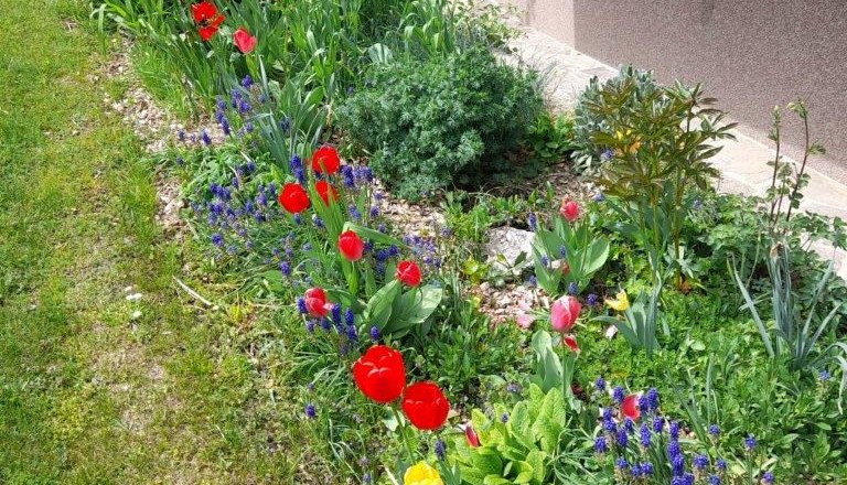 Garten, © Haus am Bach